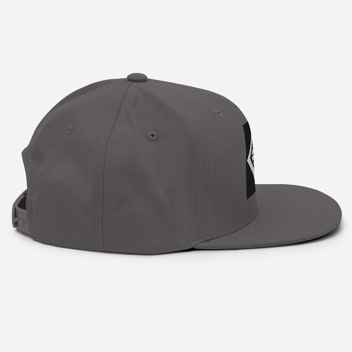 Icon Snapback Hat