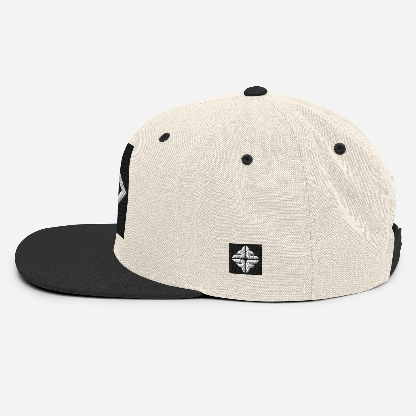 Icon Snapback Hat