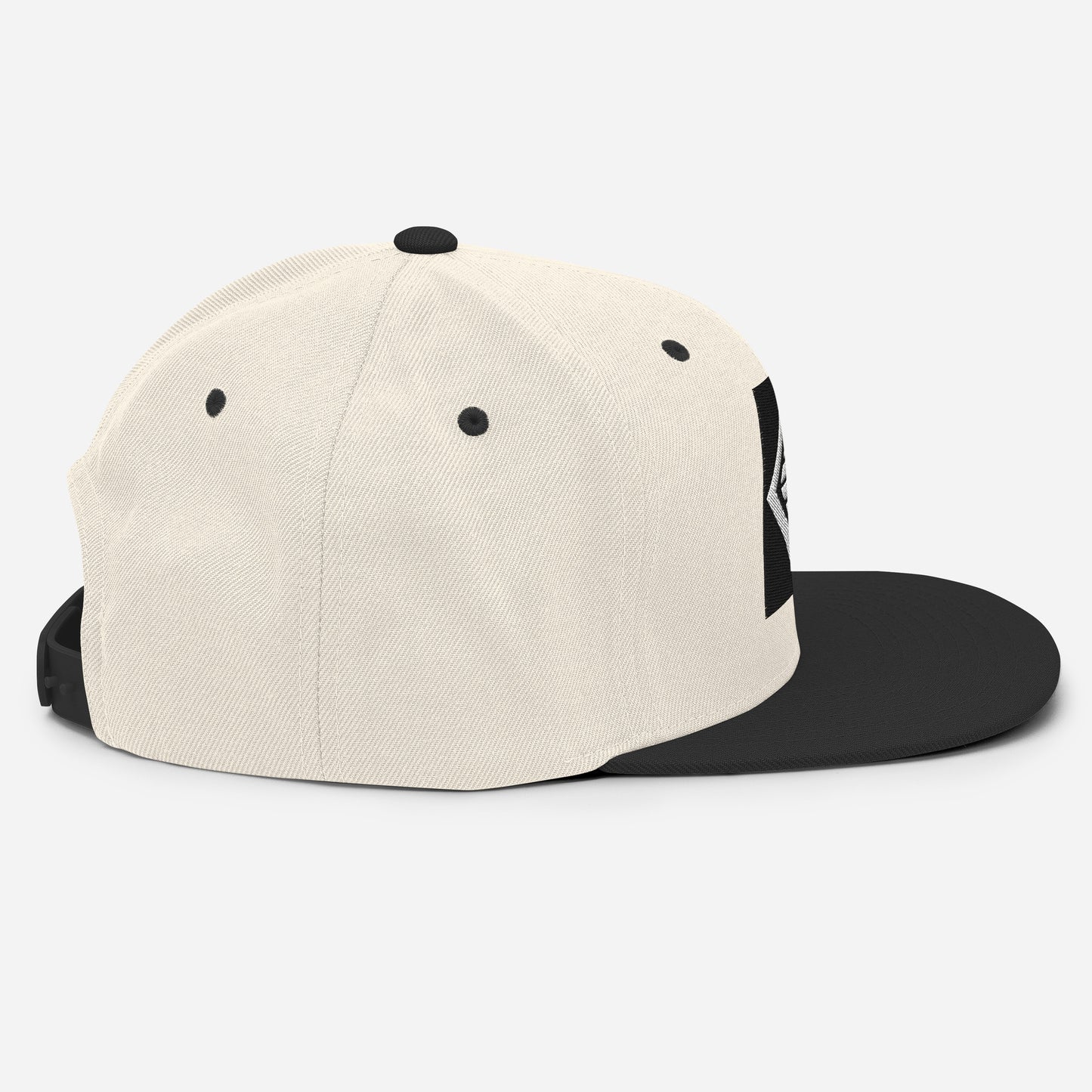 Icon Snapback Hat