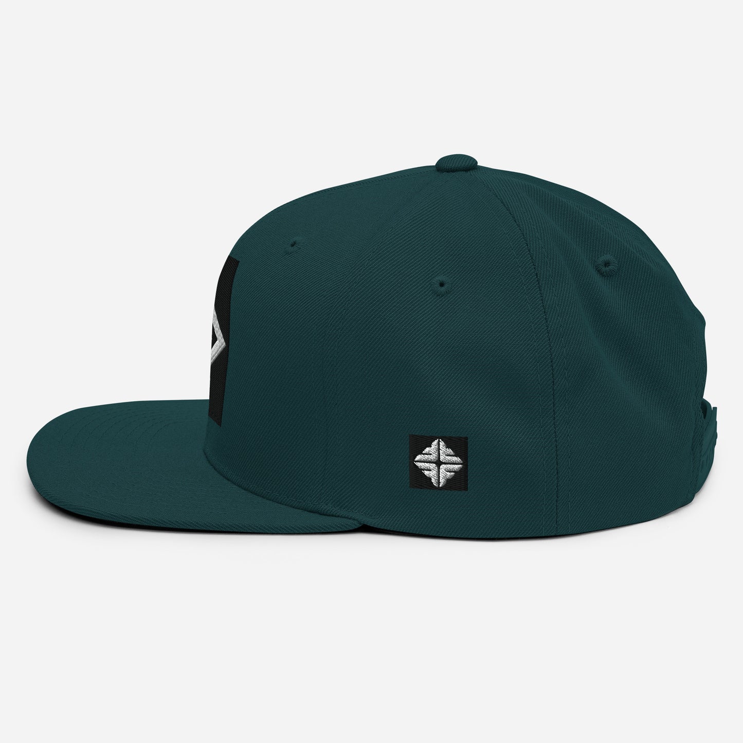 Icon Snapback Hat