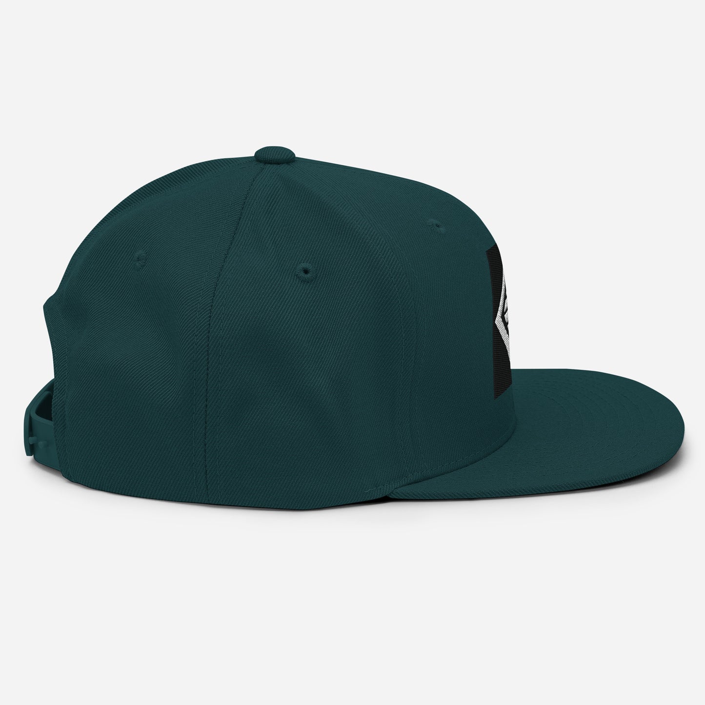 Icon Snapback Hat